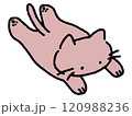 寝転んでいるネコのゆるい手描きイラスト 120988236