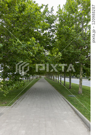 Novorossiysk, Russia 28 August 2024 Sunday morning walk through the streets, parks and the embankment of the city 120988287