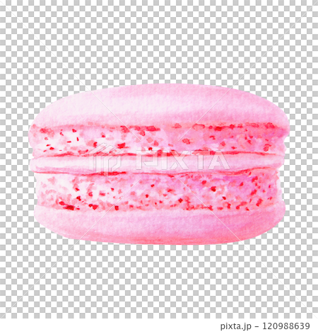 Watercolor illustration of pink macaron with detailed texture and vibrant color. Isolated clip art is perfect for bakery branding, dessert menus, food-related designs, greeting cards, party projects 120988639