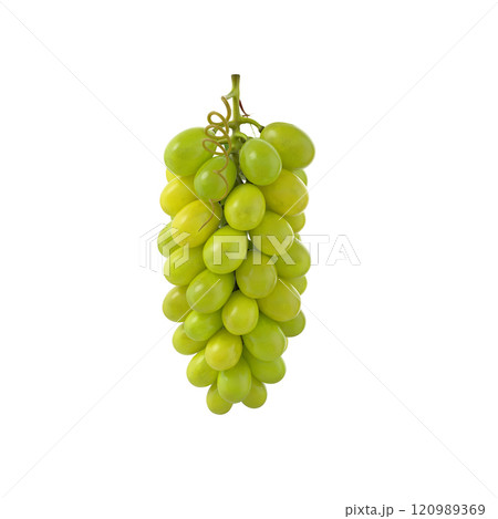 A bunch of green grapes hanging together, showcasing their fresh and vibrant appearance. A bunch of green grapes hanging together, showcasing their fresh and vibrant appearance. 120989369
