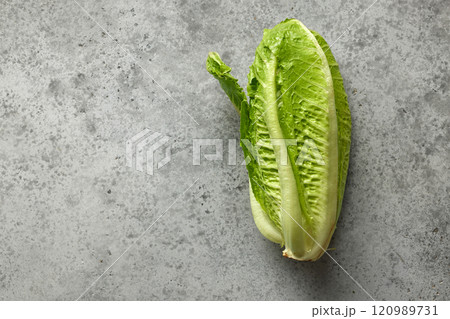 fresh green lettuce 120989731