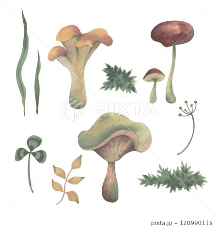 Set of autumn watercolor elements with colored pencil texture. Mushrooms, russula, chanterelle, honey fungus . Muted colors. Hand drawn illustration for design. Printing on cards, notebooks. Set of autumn watercolor elements with colored pencil texture. Mushrooms, russula, chanterelle, honey fungus . Muted colors. Hand drawn illustration for design. Printing on cards, notebooks. 120990115