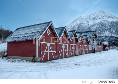 Red cabins in the winter landscape, Kongsvika, Norway 120991093