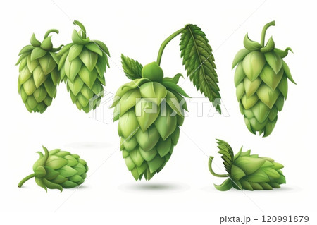 Hop cones icon, beer brewery symbol, humulus lupulus flower cones, hop plant beer manufacturing ingredient 120991879