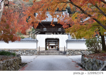 佛德山興聖寺　山門と秋のモミジ(京都府宇治市) 120992374