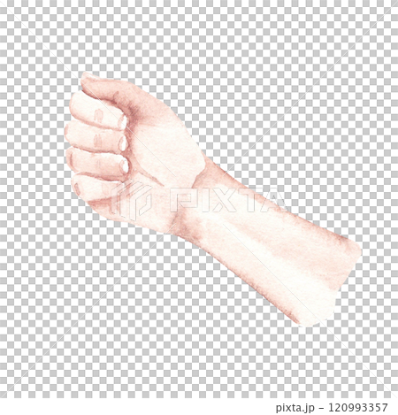 Man Hand in a Fist. Watercolor hand drawn illustration in realistic style isolated on a white background. Design element of arm holding something or prepared for blood donation. 120993357