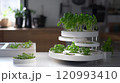 Discover a stylish indoor hydroponic herb garden that offers fresh greens for your kitchen Discover a stylish indoor hydroponic herb garden that offers fresh greens for your kitchen 120993410