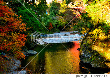初秋 奥多摩の氷川渓谷 吊り橋 登計橋からの紅葉 初秋 奥多摩の氷川渓谷 吊り橋 登計橋からの紅葉 120993513