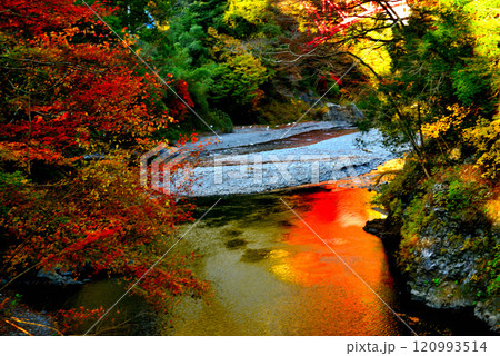 初秋　奥多摩の氷川渓谷　吊り橋　登計橋からの紅葉 120993514