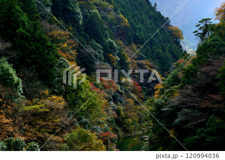 初秋　奥多摩の数馬峡谷　紅葉の風景 120994036