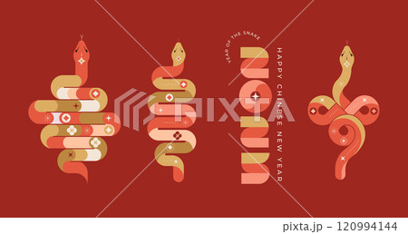 Chinese new year 2025 year of the Snake. Red Snake illustrations, vertical design, cards, banners 120994144