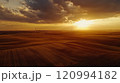 Witness the Gorgeous and Beautiful Golden Sunset Spreading Over the Vast Farmland Landscape Witness the Gorgeous and Beautiful Golden Sunset Spreading Over the Vast Farmland Landscape 120994182