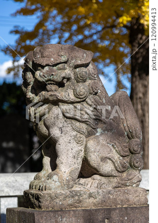 前橋市内　愛宕神社の狛犬 120994413
