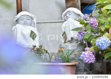お地蔵さんと紫陽花の花 お地蔵さんと紫陽花の花 120995096