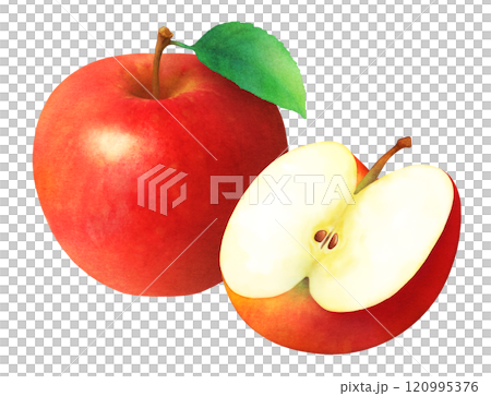 Hand-drawn watercolor illustration of red apples and leaves_Apples cut in half_Fresh fruit Hand-drawn watercolor illustration of red apples and leaves_Apples cut in half_Fresh fruit 120995376