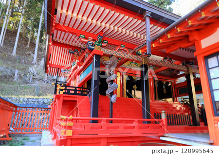昇仙峡金峰山 金櫻神社本殿 昇龍 昇仙峡金峰山 金櫻神社本殿 昇龍 120995645