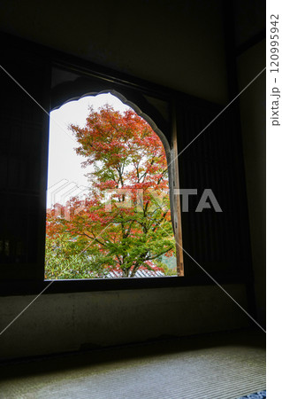 京都 秋の大原三千院境内 京都 秋の大原三千院境内 120995942