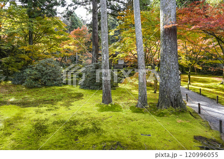 京都 秋の大原三千院 有清園 京都 秋の大原三千院 有清園 120996055