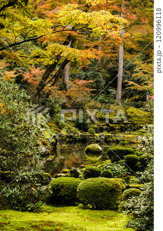 京都　秋の大原三千院　有清園 120996118