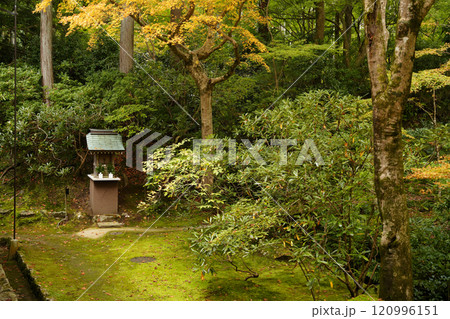 京都　秋の大原三千院　有清園 120996151