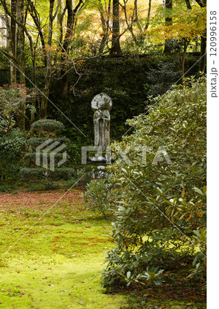 京都 秋の大原三千院 有清園 京都 秋の大原三千院 有清園 120996158