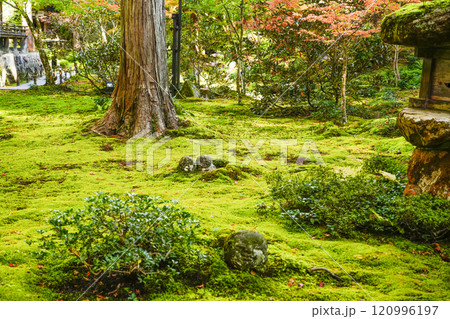 京都 秋の大原三千院 わらべ地蔵 京都 秋の大原三千院 わらべ地蔵 120996197