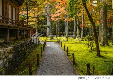 京都　秋の大原三千院境内 120996208