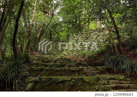 宇和島城 本丸への登山道(愛媛県宇和島市) 宇和島城 本丸への登山道(愛媛県宇和島市) 120996681