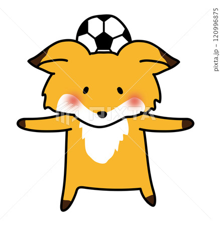 サッカーをするキツネ4 サッカーをするキツネ4 120996875
