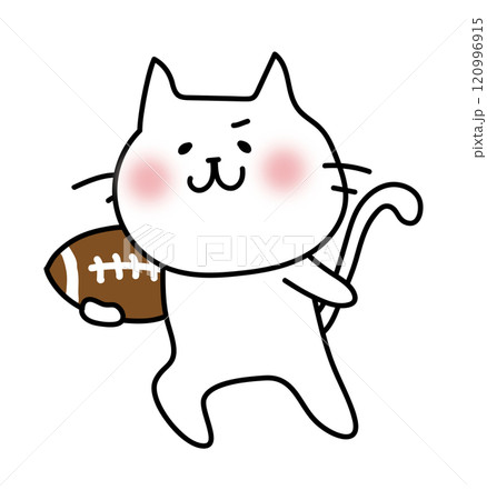 ラグビーをする白い猫1 120996915