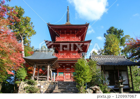 柏原八幡宮 120997067