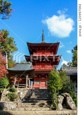 柏原八幡宮 柏原八幡宮 120997068