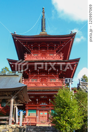 柏原八幡宮 120997069