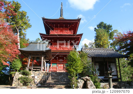 柏原八幡宮 柏原八幡宮 120997070