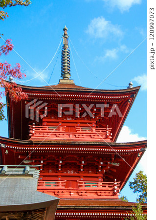 柏原八幡宮 120997073