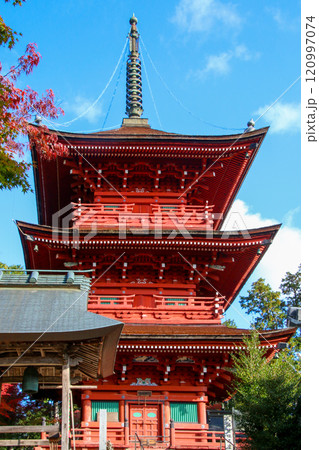 柏原八幡宮 柏原八幡宮 120997074