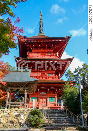 柏原八幡宮 柏原八幡宮 120997075