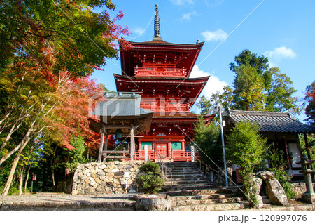 柏原八幡宮 柏原八幡宮 120997076