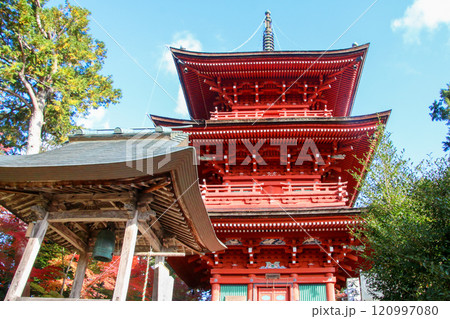 柏原八幡宮 120997080
