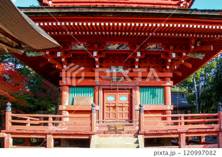 柏原八幡宮 柏原八幡宮 120997082