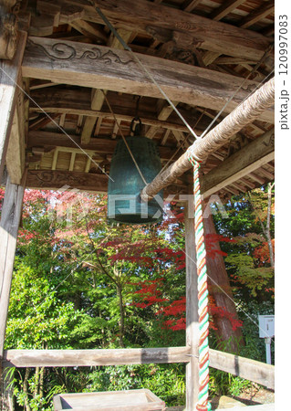 柏原八幡宮 柏原八幡宮 120997083