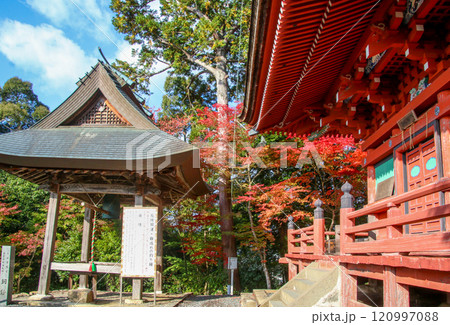 柏原八幡宮 柏原八幡宮 120997088