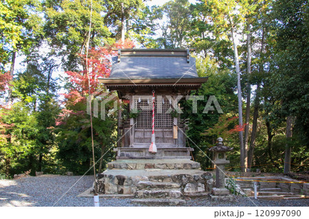 柏原八幡宮 120997090