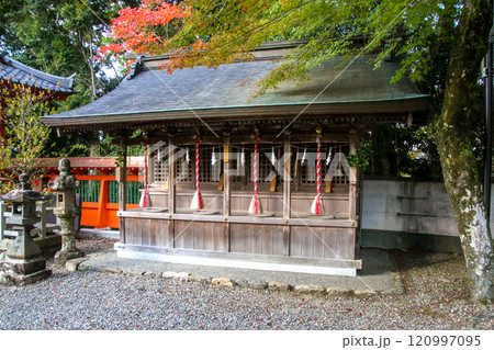 柏原八幡宮 120997095