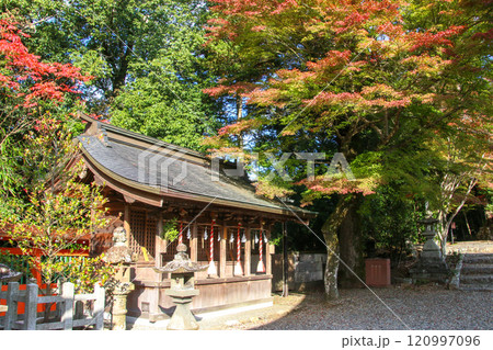 柏原八幡宮 120997096