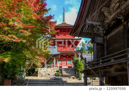柏原八幡宮 柏原八幡宮 120997098