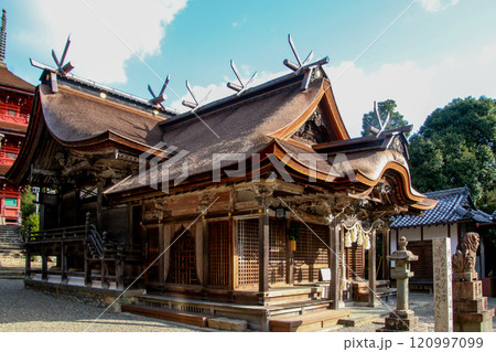 柏原八幡宮 120997099