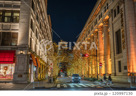 日本橋イルミネーション 2024-2025 120997130