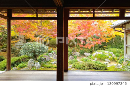 源光庵紅葉 120997246