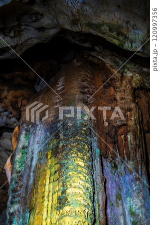 秋芳洞　黄金柱【山口県美祢市】 120997356
